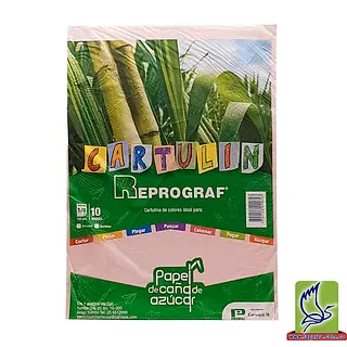 Cartulina 1/8 X 10 Stdo