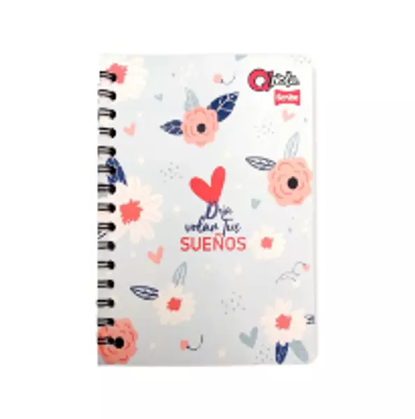 Cuaderno arg 85 100h cuadros qnota fem 4018