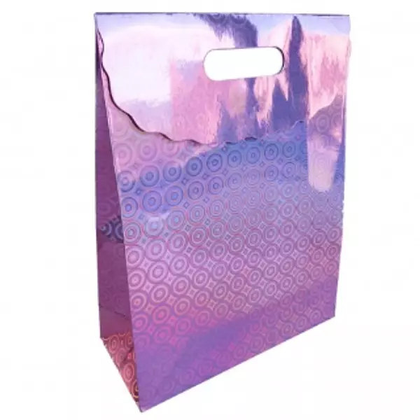 Bolsa Regalo Hologramica Primavera-Grafitos Talla:L