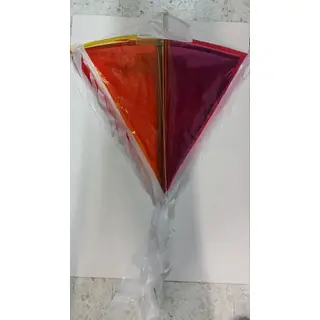 Cometa Celofan Grande Xund