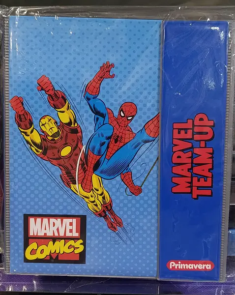 Folder 105 Carta Primavera