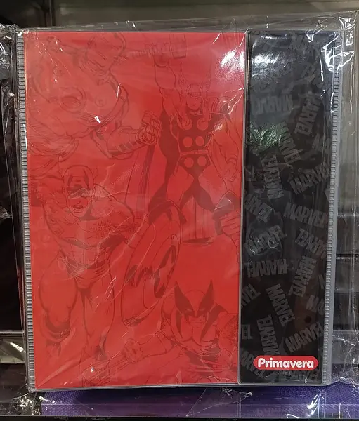 Folder 105 Carta Primavera