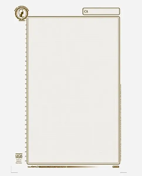 Papel Documental 5500 X12und Minerva