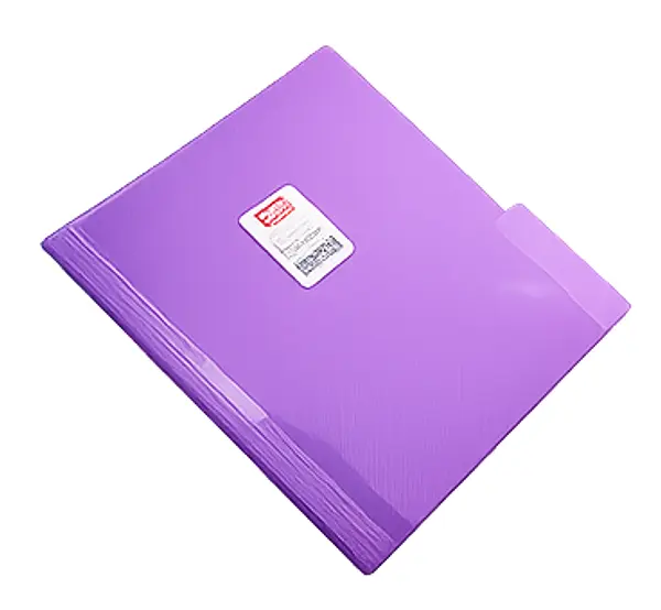 Carpeta Plastica Celuguia Carta Scribe