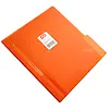 Carpeta Plastica Celuguia Carta Scribe