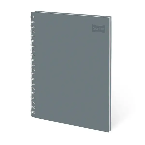 Cuaderno Arg 105 80h Pd Master M+S Stdo Scribe