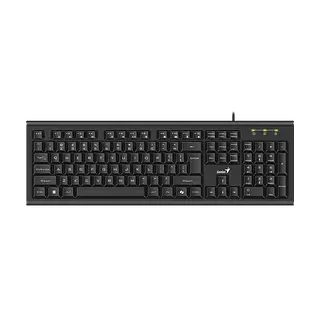 Teclado Genius Usb Kb-113